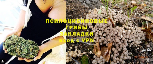 сатива Наволоки