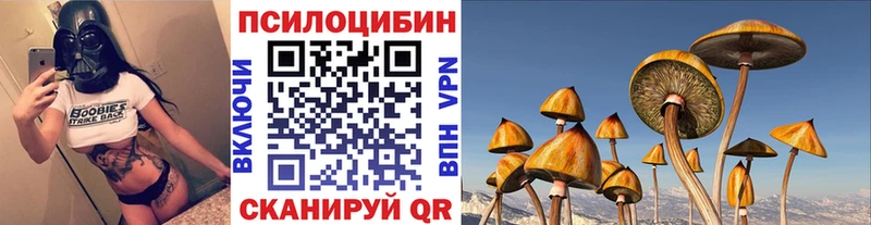 Галлюциногенные грибы Psilocybe  сайты даркнета клад  Цивильск 
